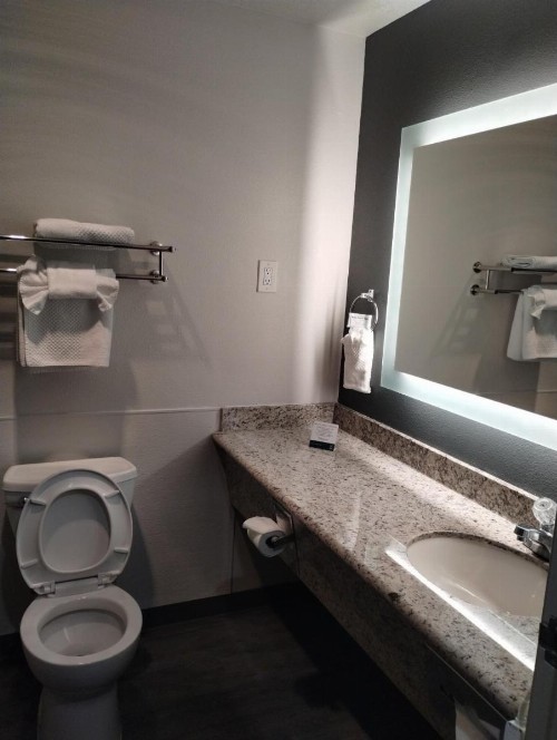 Quality Inn & Suites - image 27