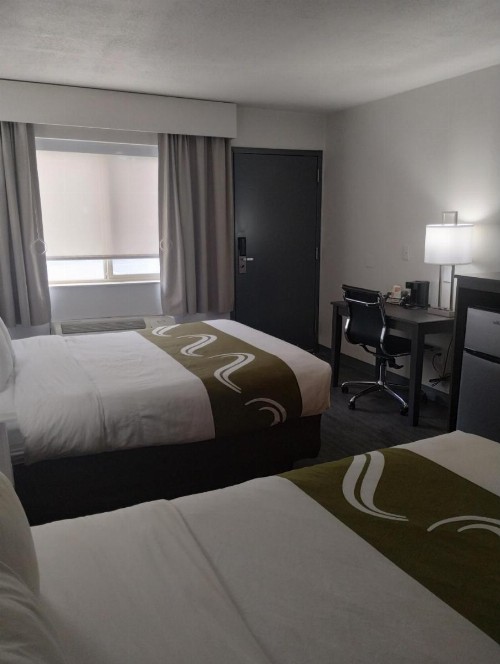 Quality Inn & Suites - image 41
