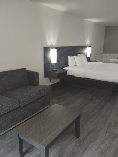 Quality Inn & Suites - image 49
