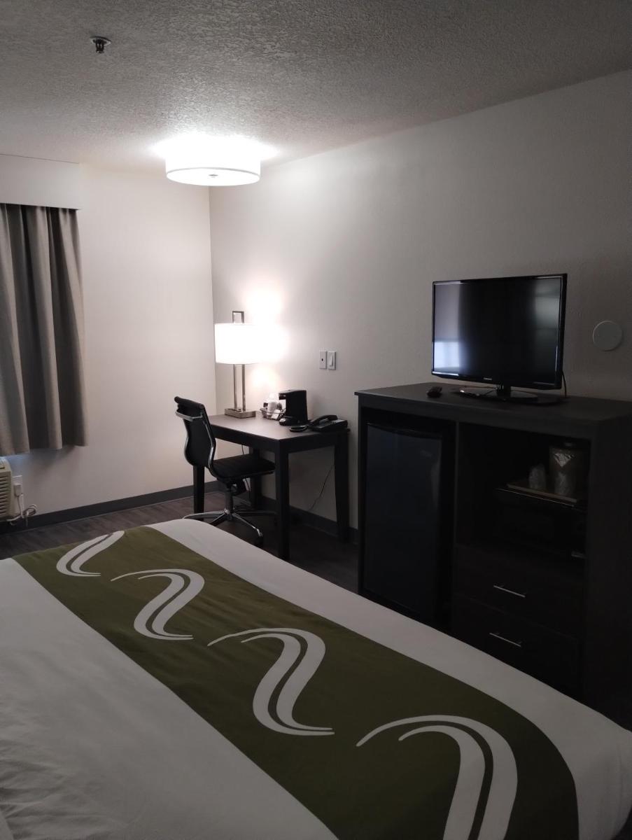 Quality Inn & Suites - image 5
