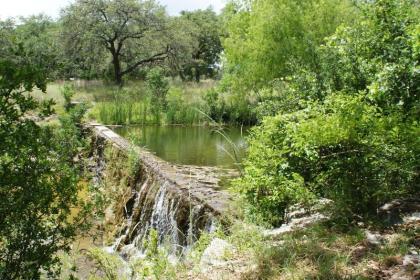 Artista Wimberley Texas