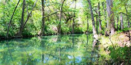 Rock House on Cypress Creek