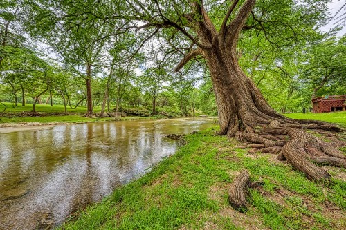 Austin Cottage on Cypress Creek - image 4
