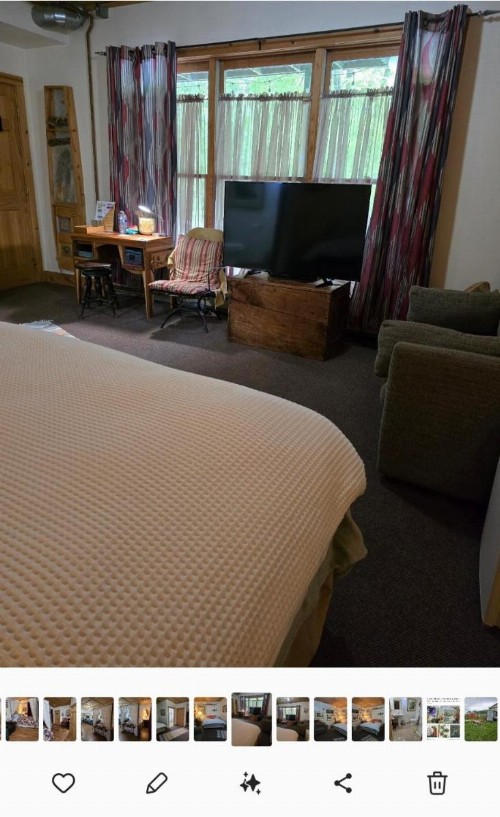 Tortuga Inn - image 2
