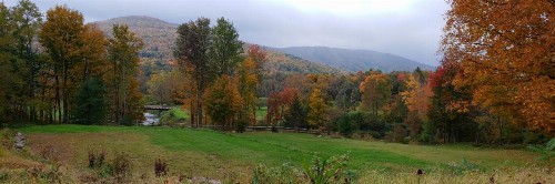 Georgian Garden Inn - image 22