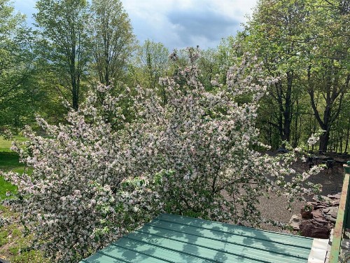 Georgian Garden Inn - image 24