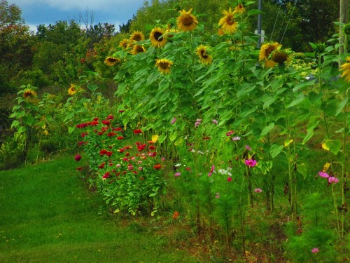 Georgian Garden Inn - image 43