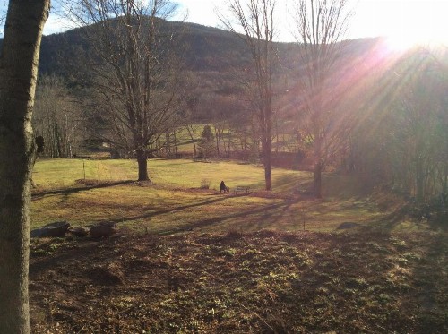 Georgian Garden Inn - image 47