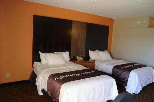 Quality Inn Windsor Locks - image 12