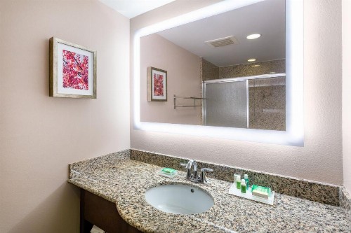 Holiday Inn Winter Haven an IHG Hotel - image 30