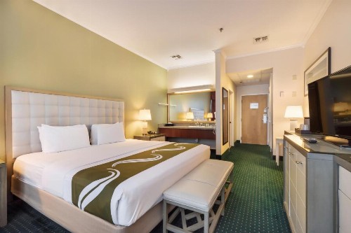 Quality Inn & Suites Conference Center - image 8