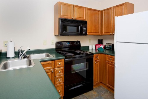 Zephyr Mountain Lodge - image 2