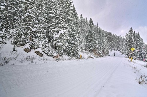 Ski-In and Ski-Out Winter Park Condo with Amenity Access - image 8