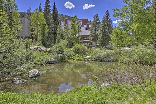 Ski-In and Ski-Out Winter Park Condo with Amenity Access - image 5