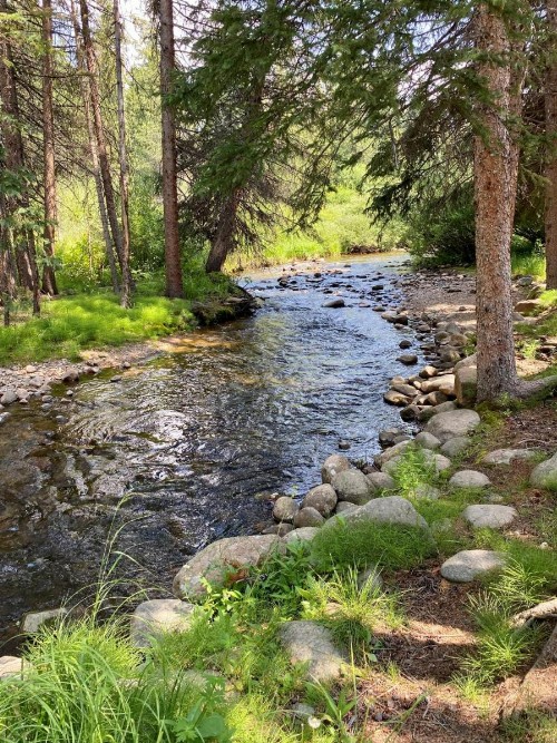 Luxury Condo On River Hot Tub Next to Ski Resort - FREE Activities & Equipment Rentals Daily - image 6