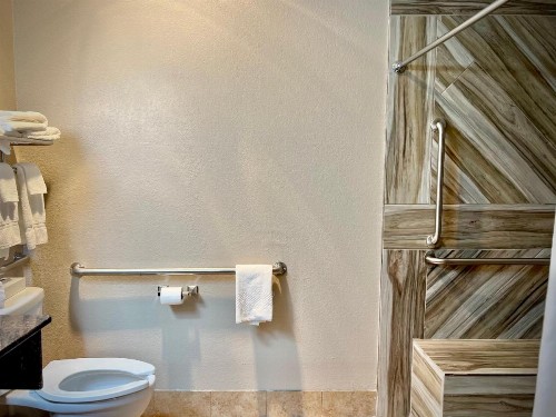 Quality Inn & Suites Wisconsin Dells - image 18