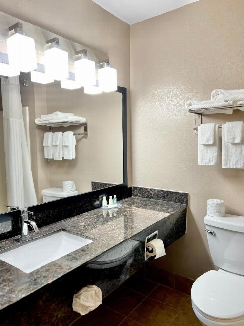 Quality Inn & Suites Wisconsin Dells - image 7