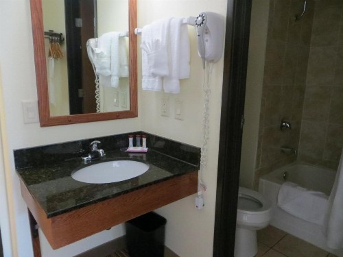 Ramada by Wyndham Wisconsin Dells - image 26
