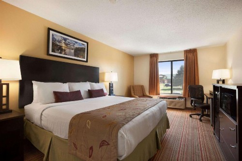 Ramada by Wyndham Wisconsin Dells - image 9