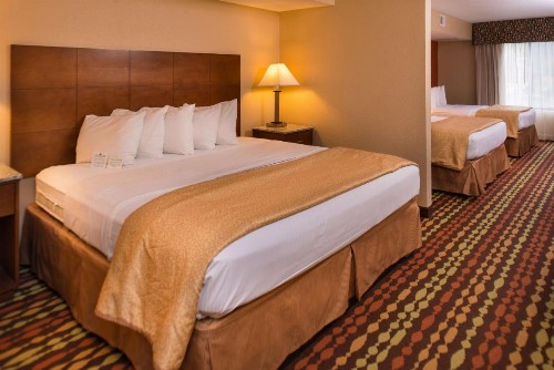 Best Western Ambassador Inn & Suites - image 12