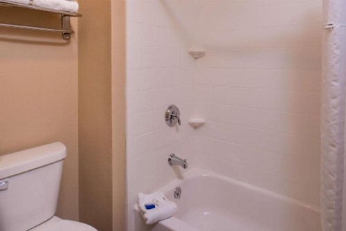 Best Western Ambassador Inn & Suites - image 25