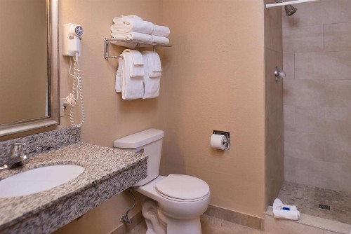 Best Western Ambassador Inn & Suites - image 32