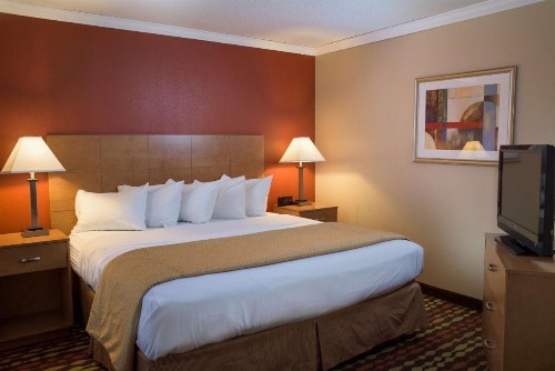 Best Western Ambassador Inn & Suites - image 4