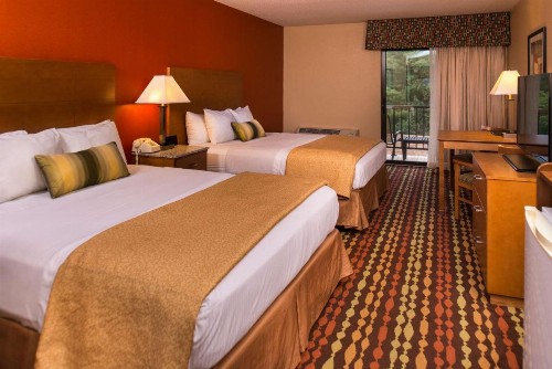 Best Western Ambassador Inn & Suites - image 47