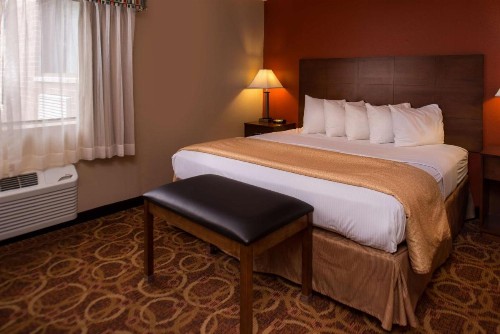 Best Western Ambassador Inn & Suites - image 9