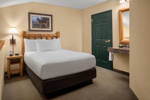 Great Wolf Lodge Wisconsin Dells - image 33