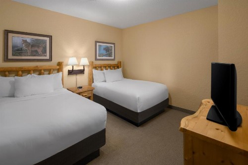 Great Wolf Lodge Wisconsin Dells - image 44