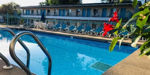 Starlite Motel - image 21