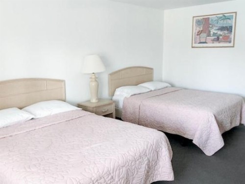 Starlite Motel - image 31