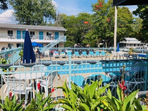 Starlite Motel - image 48