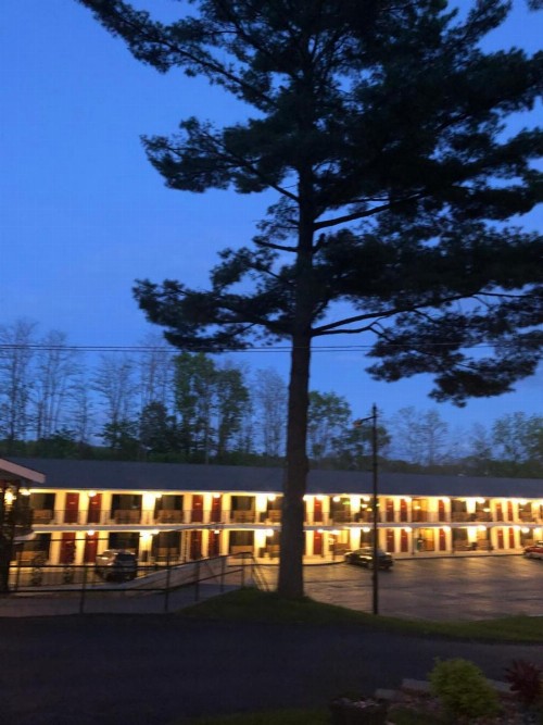 Amber's Inn and Suites - image 38