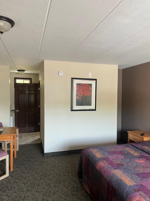 All Star Inn & Suites - image 50