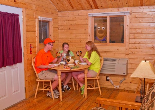 Yogi Bear's Jellystone Park Camp-Resort Wisconsin Dells - image 6