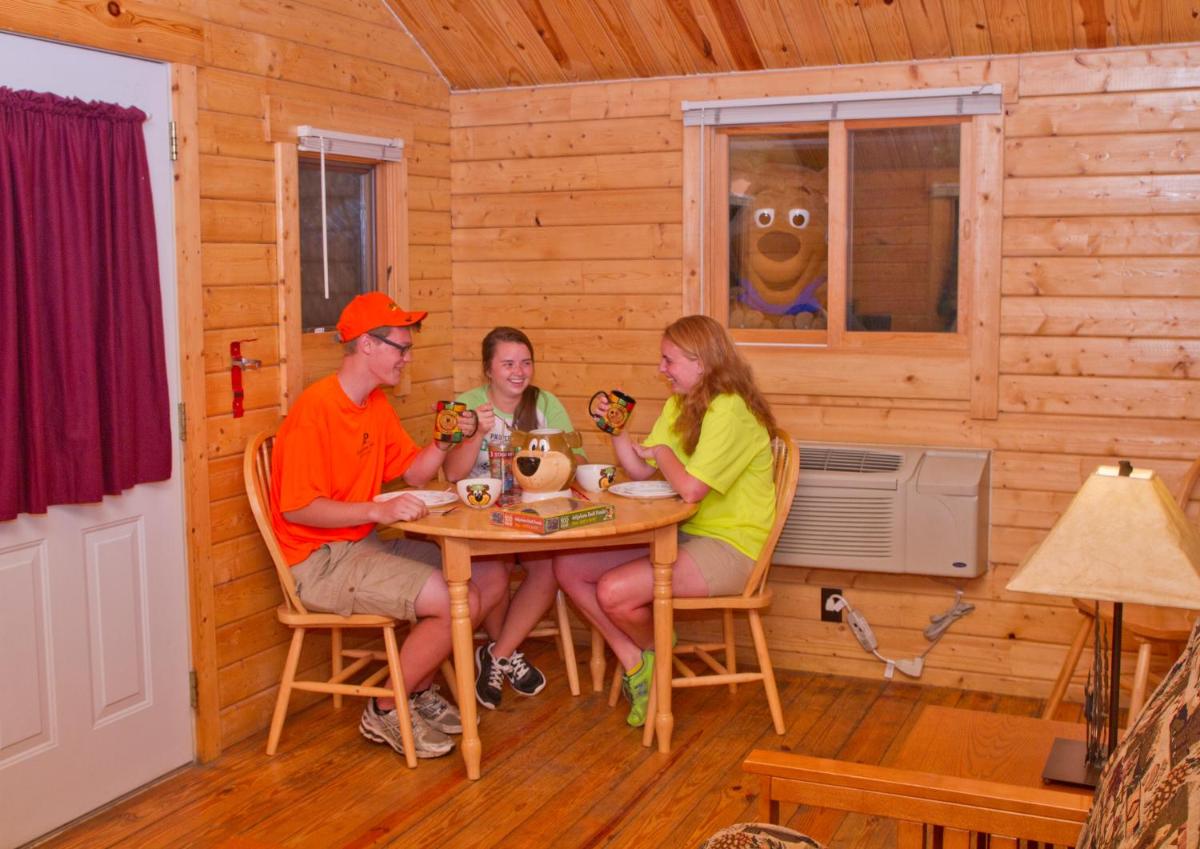 Yogi Bear's Jellystone Park Camp-Resort Wisconsin Dells - image 6