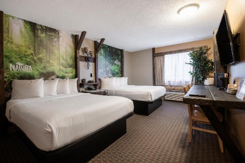 Natura Treescape Resort - image 15