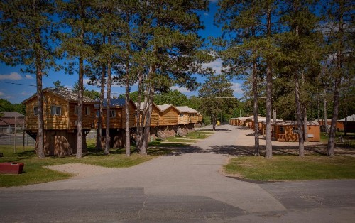 Natura Treescape Resort - image 31