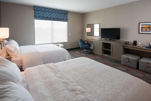 Hampton Inn and Suites at Wisconsin Dells Lake Delton - image 26
