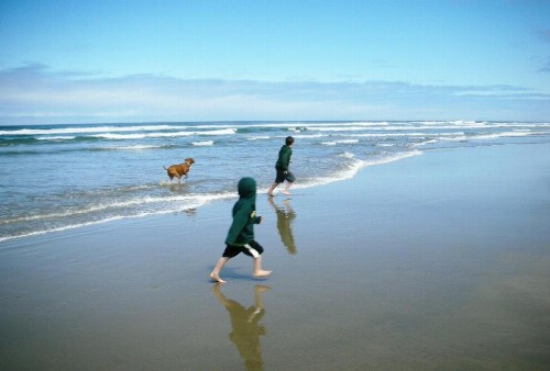 Silver Surf Motel - image 12