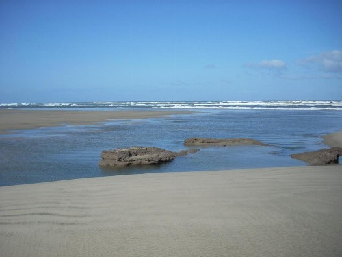 Silver Surf Motel - image 15