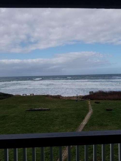 Silver Surf Motel - image 36