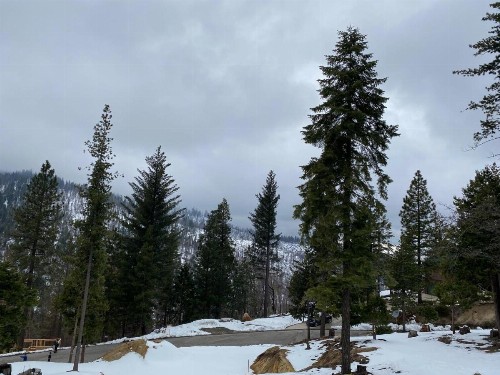 Serenity Pines - image 10