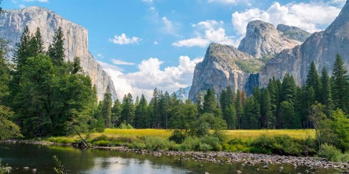 Yosemite Condominium - image 11