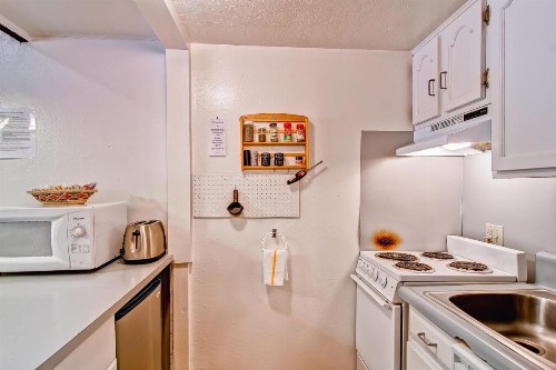 Yosemite Large Loft Condominiums - 1BR/1BA - image 6