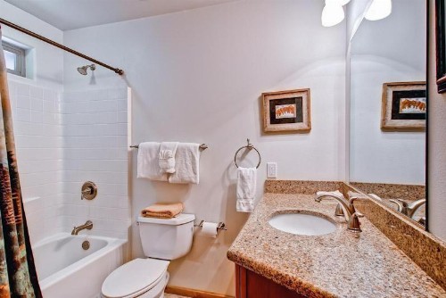 Bears Den & Little Bear - 5BR/3BA - image 17