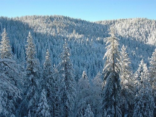 Birds Eye Vista - image 15