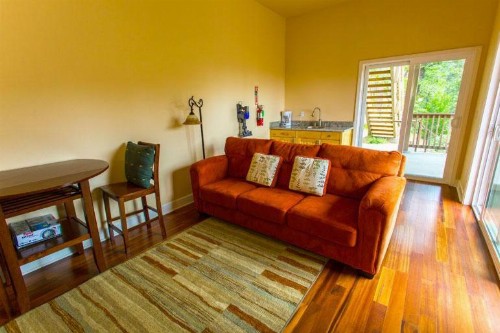 Birds Eye Vista - image 7